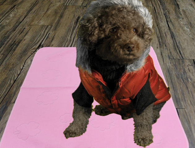 Pet Training Pad 1